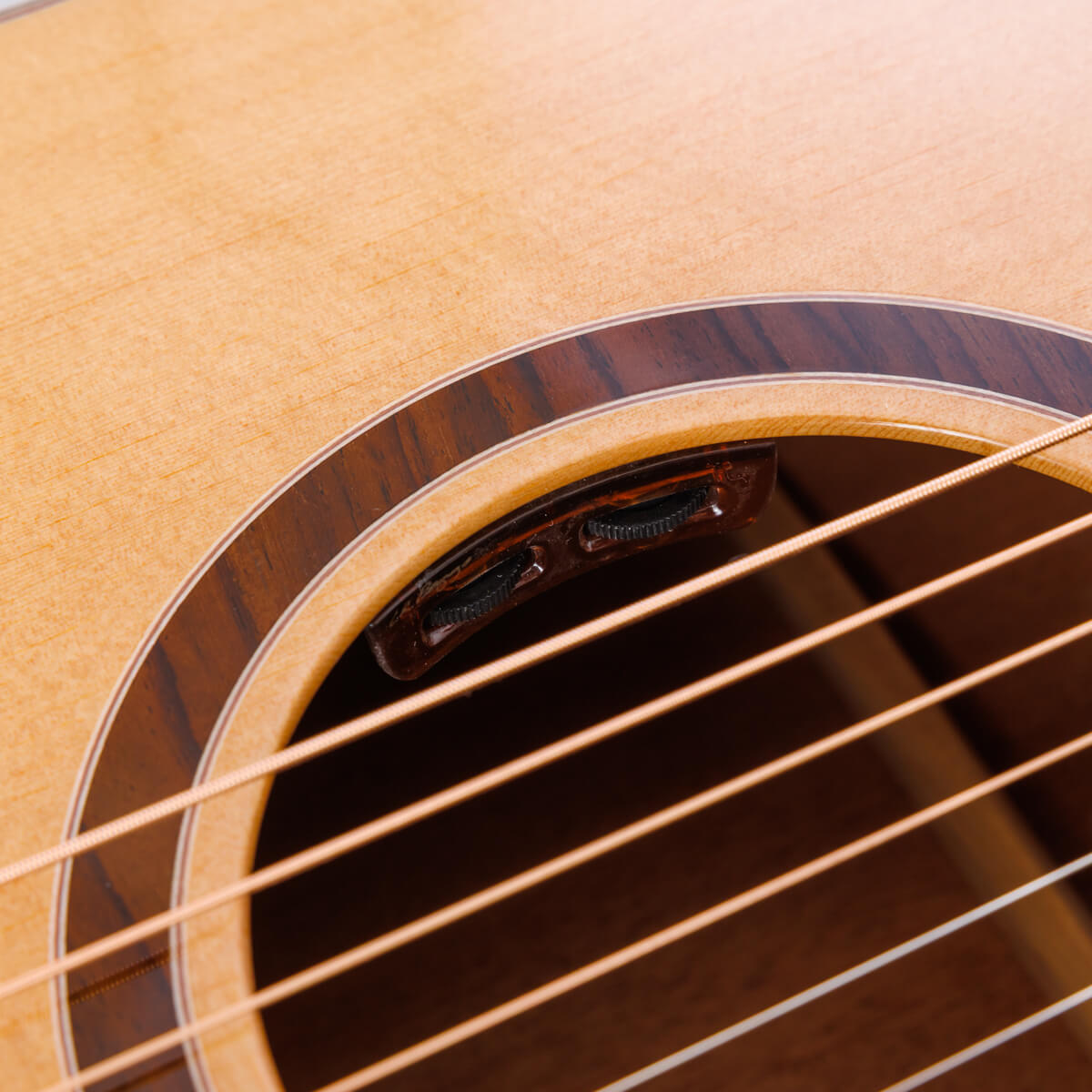 L.R.Baggs Element Bronze VTC 搭載