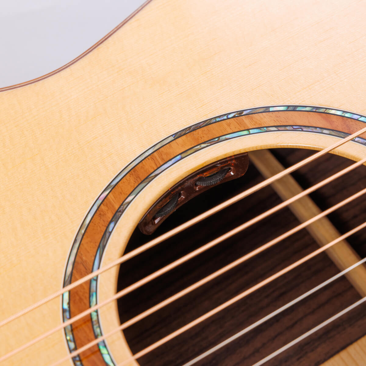 L.R.Baggs Element Bronze VTC 搭載