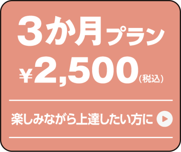 3か月プラン ¥2,500(税込) 楽しみながら上達したい方に