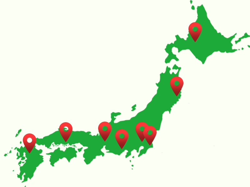 Japan Map with Store Pins